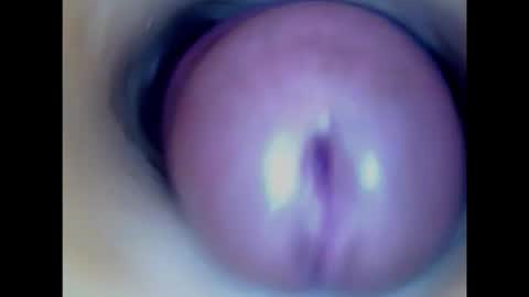 Snapshot of paulainoscente chatting on February 2026 03:31:01 PM Paula 18 Aninhos online show from February 2026 03:31:01 PM