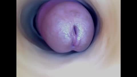 Snapshot of paulainoscente chatting on February 2026 06:07:01 PM Paula 18 Aninhos online show from February 2026 06:07:01 PM