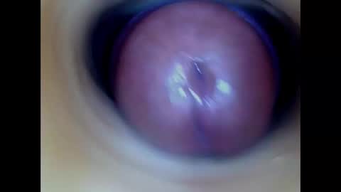 Snapshot of paulainoscente chatting on March 2026 06:37:01 AM Paula 18 Aninhos online show from March 2026 06:37:01 AM