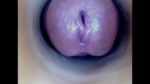 Snapshot of paulainoscente chatting on March 2026 06:43:01 PM Paula 18 Aninhos online show from March 2026 06:43:01 PM