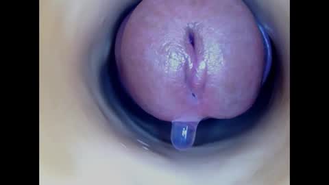 Snapshot of paulainoscente chatting on March 2026 05:08:02 AM Paula 18 Aninhos online show from March 2026 05:08:02 AM