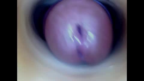 Snapshot of paulainoscente chatting on March 2026 07:54:01 PM Paula 18 Aninhos online show from March 2026 07:54:01 PM