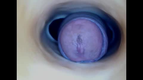 Snapshot of paulainoscente chatting on March 2026 03:17:01 AM Paula 18 Aninhos online show from March 2026 03:17:01 AM