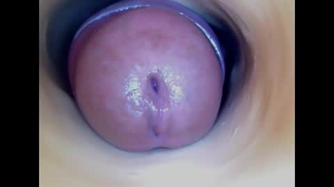 Snapshot of paulainoscente chatting on April 2026 03:53:02 PM Paula 18 Aninhos online show from April 2026 03:53:02 PM