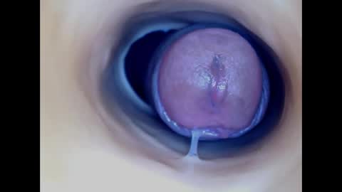 Snapshot of paulainoscente chatting on April 2026 04:32:01 AM Paula 18 Aninhos online show from April 2026 04:32:01 AM