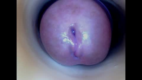 Snapshot of paulainoscente chatting on April 2026 02:25:02 PM Paula 18 Aninhos online show from April 2026 02:25:02 PM