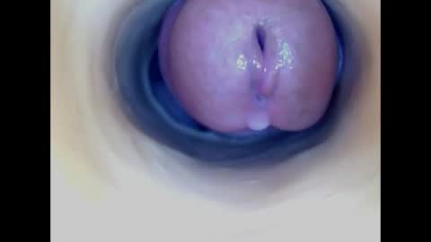 Snapshot of paulainoscente chatting on April 2026 08:03:01 PM Paula 18 Aninhos online show from April 2026 08:03:01 PM