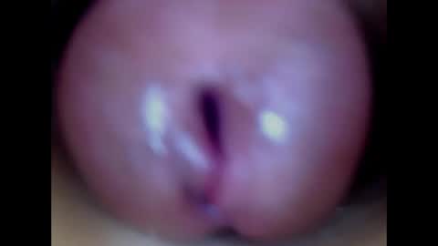 Snapshot of paulainoscente chatting on April 2026 10:55:01 AM Paula 18 Aninhos online show from April 2026 10:55:01 AM