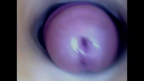 Snapshot of paulainoscente chatting on July 2026 02:03:02 AM Paula 18 Aninhos online show from July 2026 02:03:02 AM