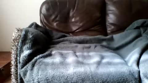 paurlien online show from March 2026 11:04:02 AM