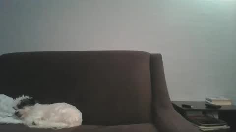 paybarbi online show from January 2026 05:33:01 AM