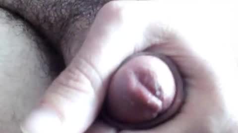 Snapshot of peiboluna chatting on February 2025 06:28:01 AM peiboluna online show from February 2025 06:28:01 AM