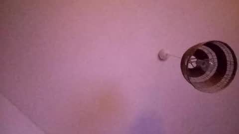 Snapshot of penesvoladores92 chatting on February 2026 01:39:02 AM penesvoladores92 online show from February 2026 01:39:02 AM