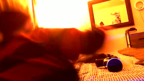 Snapshot of pennyfrance69 chatting on February 2025 10:28:02 AM Penny France online show from February 2025 10:28:02 AM