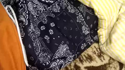 perdido4_20 online show from January 2025 02:08:02 PM