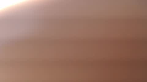 lecia online show from November 2025 04:11:02 AM