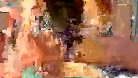 perryf online show from May 2026 09:14:01 AM