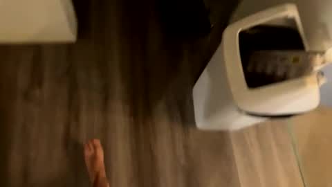 perthguytop online show from November 2025 11:26:02 PM