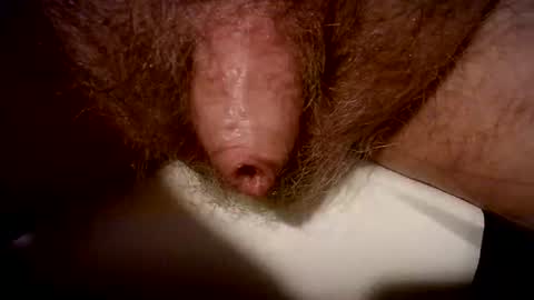 peterpeteropoulos online show from February 2025 07:41:02 PM