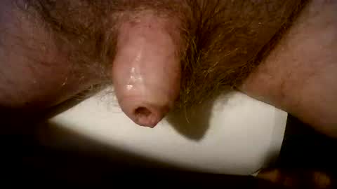 peterpeteropoulos online show from March 2025 08:11:02 PM