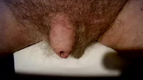 peterpeteropoulos online show from October 2025 06:41:02 PM