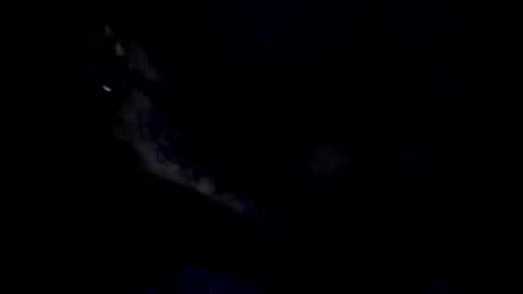 peterson1978 online show from May 2026 12:06:01 AM