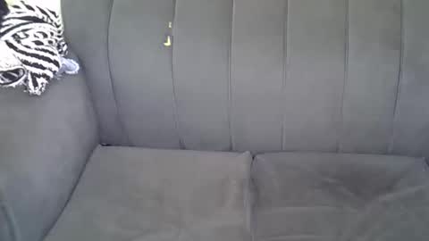 Snapshot of petitekittyy chatting on June 2026 01:49:01 AM Kitty online show from June 2026 01:49:01 AM