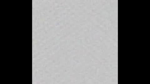 peytonn_monroe online show from October 2025 12:06:01 PM