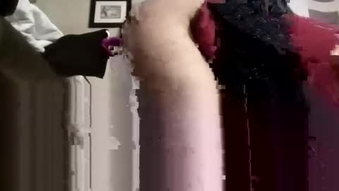 phillipdee online show from November 2025 08:30:02 PM