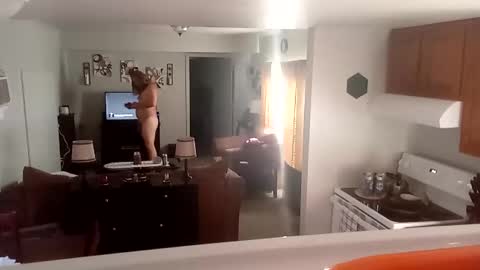 Snapshot of phinfan35276 chatting on February 2025 08:44:02 PM Phinfan online show from February 2025 08:44:02 PM