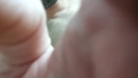 Snapshot of piacere39 chatting on December 2024 09:16:01 PM piacere39 online show from December 2024 09:16:01 PM