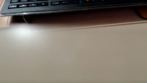 pier49x online show from December 2024 05:12:01 AM