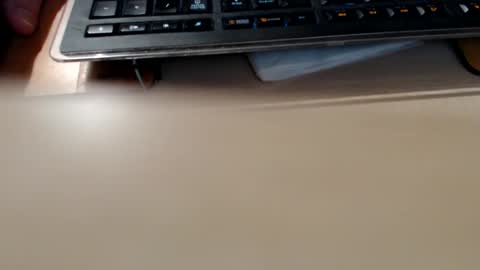 pier49x online show from April 2026 02:48:01 AM