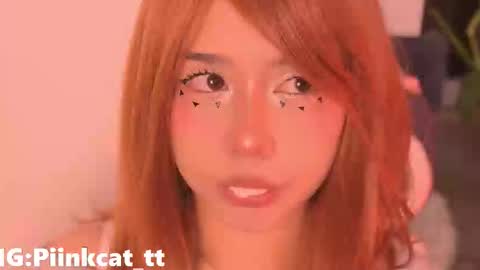 Snapshot of piinkcat chatting on March 2026 05:33:02 AM Emi online show from March 2026 05:33:02 AM