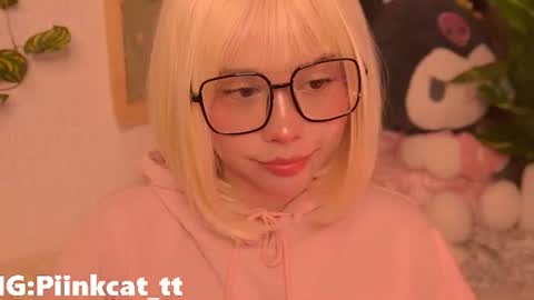 Snapshot of piinkcat chatting on July 2026 05:48:01 AM Emi online show from July 2026 05:48:01 AM