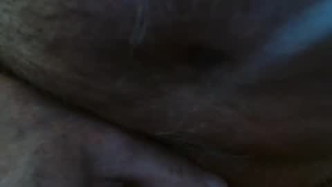 Pit online show from February 2025 02:04:01 PM