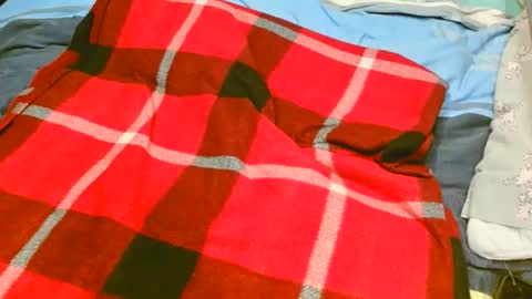 pinewoodman online show from November 2025 07:07:01 AM