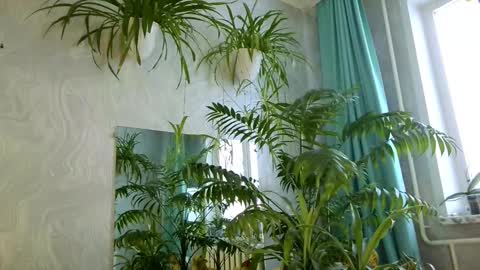 Snapshot of pink_light chatting on February 2026 05:34:02 AM Tatyana online show from February 2026 05:34:02 AM