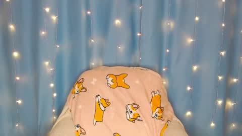 Pikachu pika online show from January 2025 01:23:02 AM