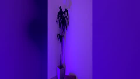 Snapshot of pink_quarz chatting on June 2026 10:45:02 PM KELLY online show from June 2026 10:45:02 PM