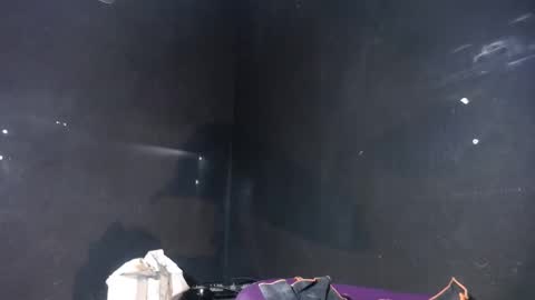 pirata_privado online show from December 2025 10:35:01 AM