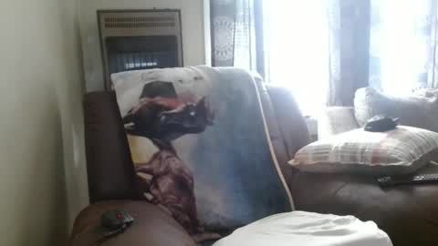 Snapshot of pirate334 chatting on February 2026 08:47:01 PM pirate334 online show from February 2026 08:47:01 PM