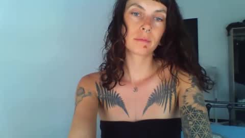 Snapshot of pixiecatfairy chatting on September 2025 01:10:01 PM pixiecatfairy online show from September 2025 01:10:01 PM