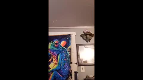 pizzedwife online show from February 2026 08:16:01 PM