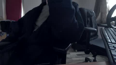 Hello ask me  . Im glad  to see you here in my room. Welcome PVT is open online show from November 2025 09:35:01 AM