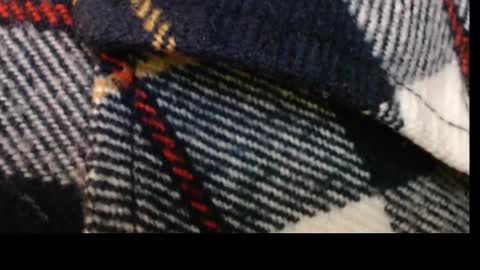 pllkgh45ymn online show from September 2025 04:40:01 PM