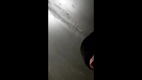 pmacking69 online show from December 2024 11:11:02 AM