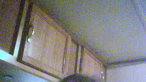 Snapshot of podzimek chatting on June 2026 04:04:02 AM podzimek online show from June 2026 04:04:02 AM