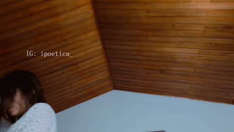 Snapshot of poeeticaa_ chatting on February 2025 12:06:02 PM IG ipoetica online show from February 2025 12:06:02 PM