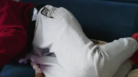 Snapshot of pokemon7ik chatting on January 2025 01:36:02 PM Karolina online show from January 2025 01:36:02 PM